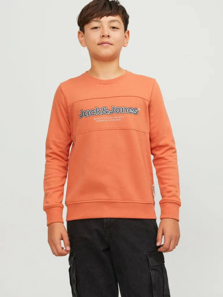 Best Junior Logo Svetari Sweatshirts | Ale